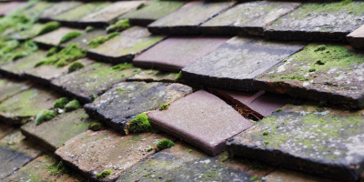 Purfleet roof repair costs